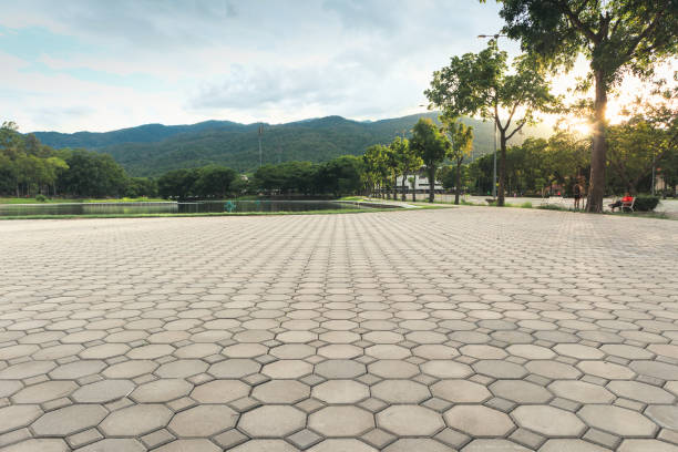 Best Affordable Driveway Pavers  in Richland, GA